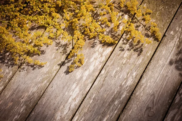 Flores em fundo de madeira — Fotografia de Stock