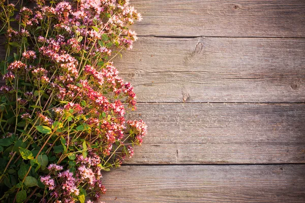 Blumen auf Holzgrund — Stockfoto