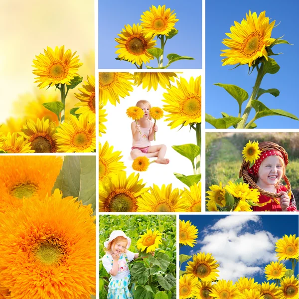 Collage met zonnebloemen — Stockfoto