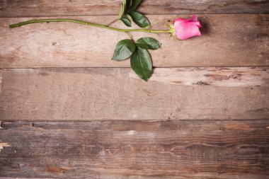 Gül ahşap zemin üzerinde