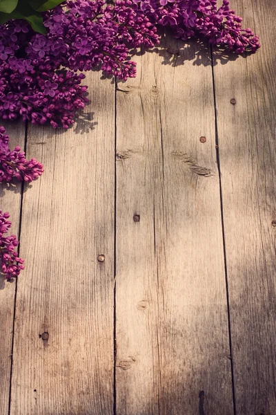 De mooie lila op een houten ondergrond — Stockfoto