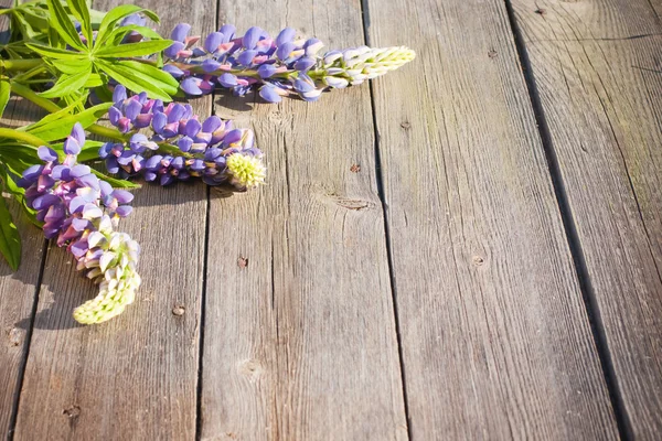 Ahşap zemin üzerinde güzel lupines — Stok fotoğraf