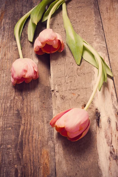 Tulipány na dřevěném pozadí — Stock fotografie
