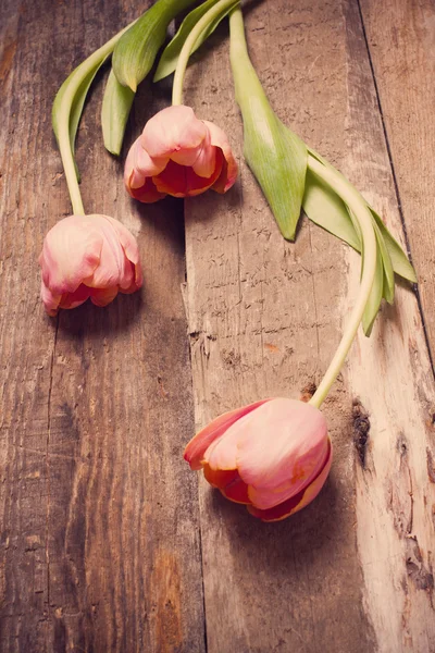 Tulips on wooden background — Stock Photo, Image