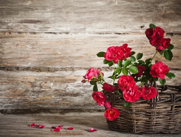 Flores sobre fondo de madera — Foto de Stock