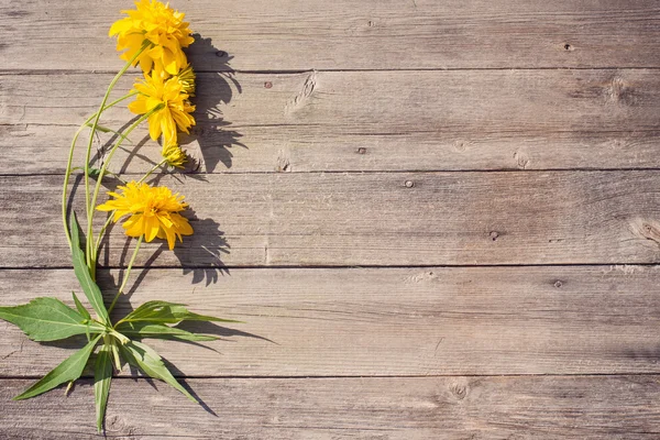 Flowers on wooden background — Stock Photo, Image