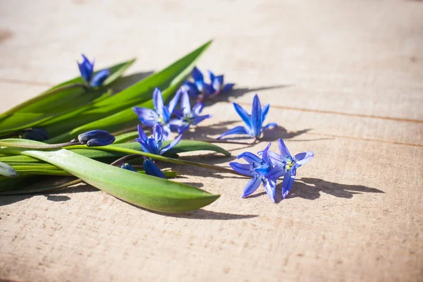 Sneeuwklokjes op houten achtergrond — Stockfoto