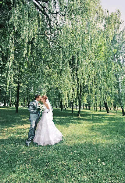 Jovem casal de casamento — Fotografia de Stock