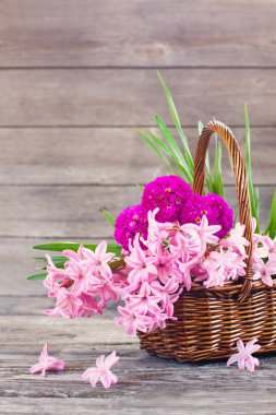 Tahta arka planda bahar çiçekleri