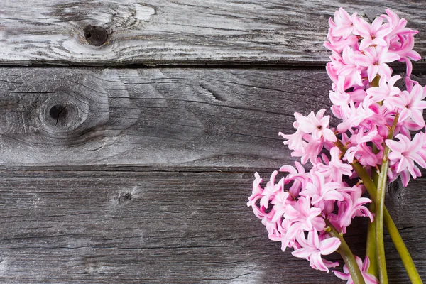 Lente bloemen op houten achtergrond — Stockfoto