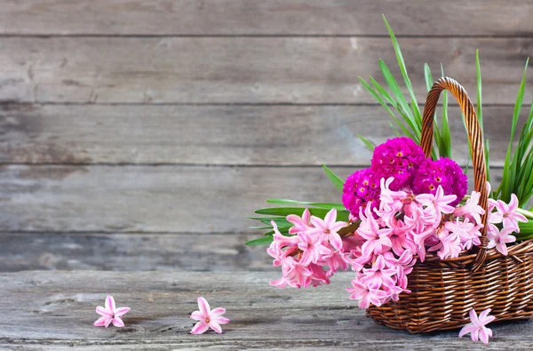 Spring flowers on wooden background — Stock Photo, Image