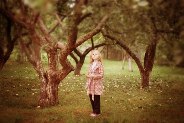 Дівчина в яблучному саду — стокове фото
