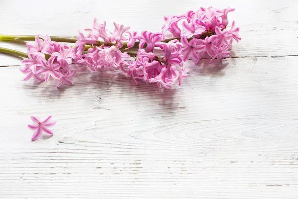 Våren blommor på trä bakgrund — Stockfoto