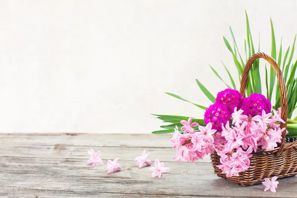 Flores de primavera sobre fondo de madera — Foto de Stock