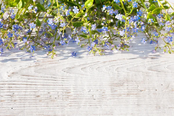 Frühlingsblumen auf Holzgrund — Stockfoto