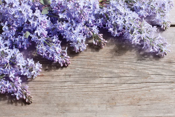 La hermosa lila sobre un fondo de madera —  Fotos de Stock