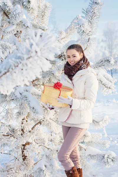Dívka s darem v zimě parku — Stock fotografie