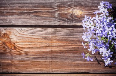 Ahşap arkaplanda çiçekler