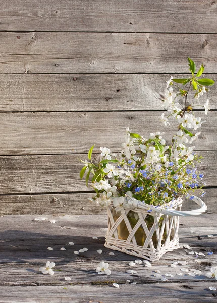 Blommor på trä bakgrund — Stockfoto