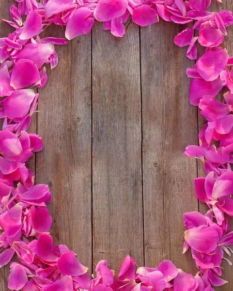 Pétalo rosa sobre fondo de madera —  Fotos de Stock