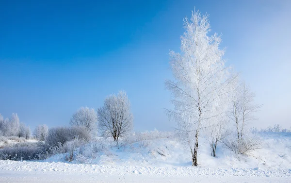 Bellissimo paesaggio invernale — Foto Stock