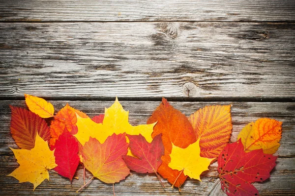 Hojas de otoño sobre fondo de madera — Foto de Stock