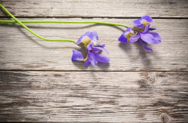 Ahşap arkaplanda çiçekler