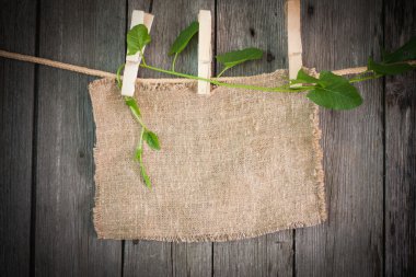 ehlileştirmek bağlamak için ip ile ahşap arka plan üzerinde elbise pimleri