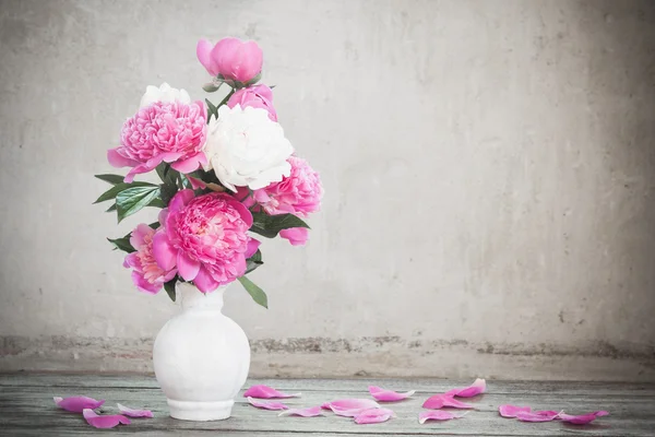 Flores sobre fondo blanco — Foto de Stock