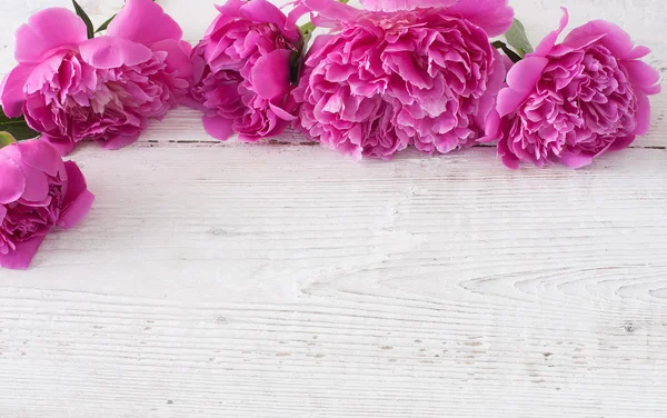 Peony on wooden background — Stock Photo, Image