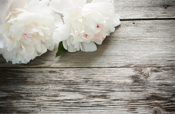 Flowers on wooden background — Stock Photo, Image