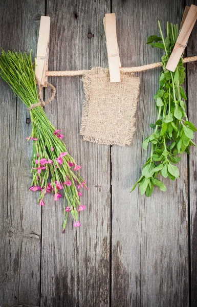Kruiden geneeskunde en papier hechten aan touw met kleren pinnen op houten achtergrond — Stockfoto