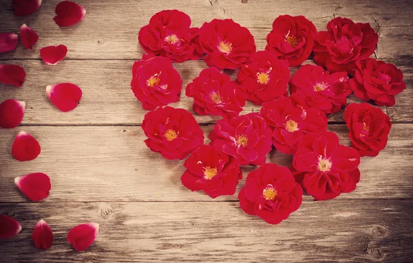 Rose auf Holzgrund — Stockfoto