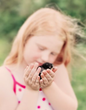 küçük tavuk ile güzel kız