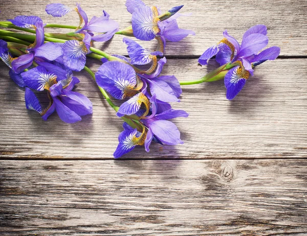 Květy na bílém pozadí dřevěná — Stock fotografie