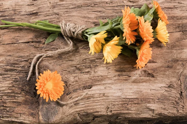 Caléndula sobre fondo de madera — Foto de Stock