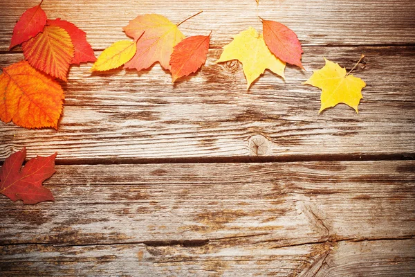 Autumn leaves on wooden background — Stock Photo, Image