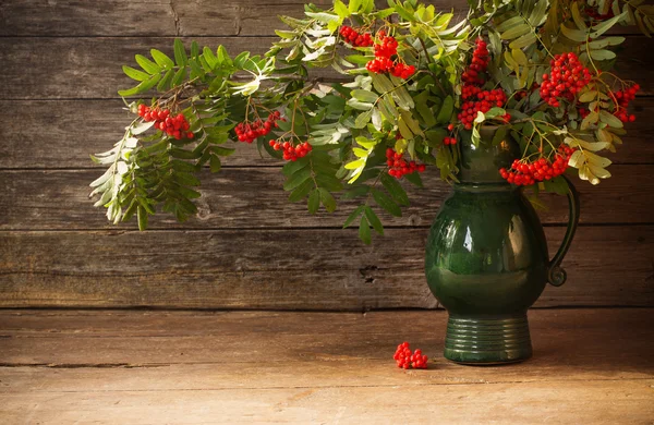 Ashberry on wooden background — Stock Photo, Image