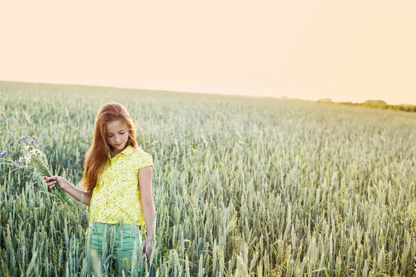 Niña en un campo de trigo a la luz del sol —  Fotos de Stock