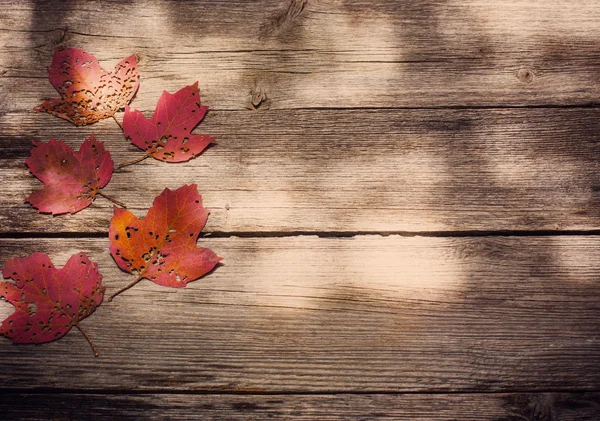 Hojas de otoño sobre fondo de madera — Foto de Stock