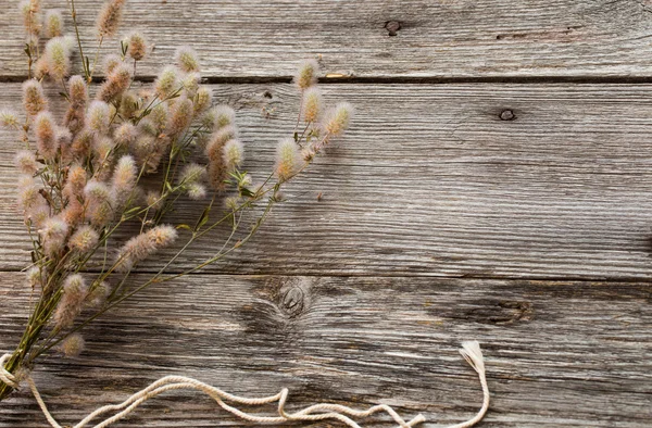 Fleurs sur fond en bois — Photo