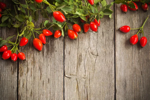 Dogrose with leafs over Wooden Background — Stok Foto