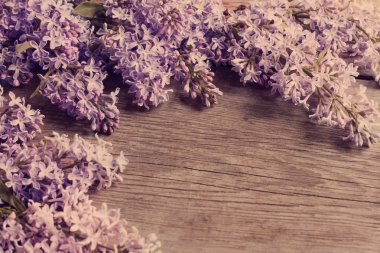 Ahşap arka plandaki güzel leylak