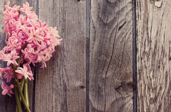 Flores da primavera no fundo branco — Fotografia de Stock