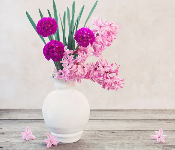 Fiori primaverili su sfondo bianco — Foto Stock