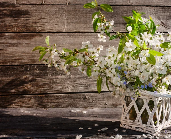 Flores sobre fondo de madera — Foto de Stock