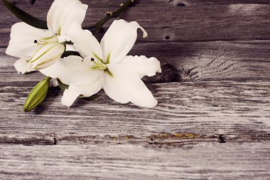 Ahşap arkaplanda çiçekler