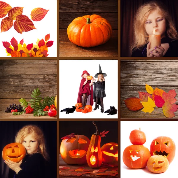Collage con decoraciones de Halloween —  Fotos de Stock