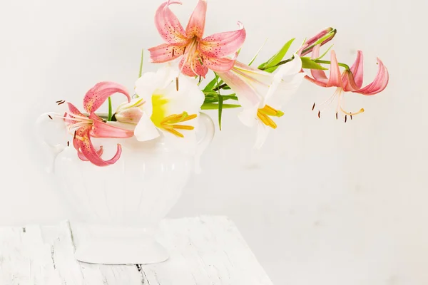Flores sobre fondo blanco —  Fotos de Stock
