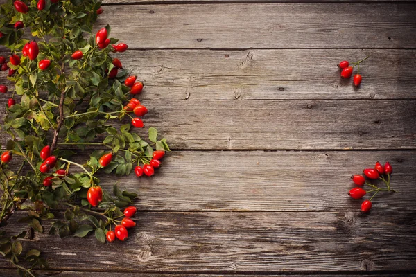 Dogrose con foglie su sfondo di legno — Foto Stock